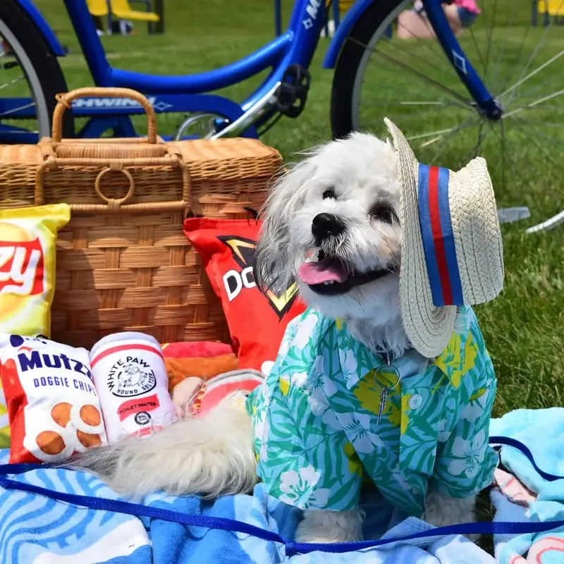 A dog in a boater hat and aloha shirt at a picnic basket set